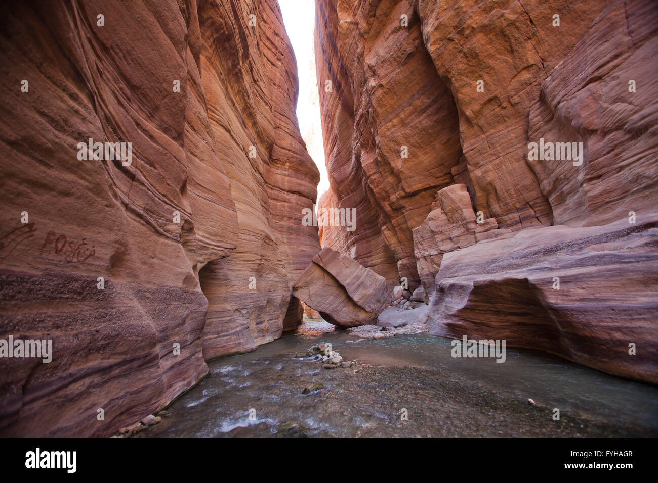 Wadi Zered (Wadi Hassa oder Hasa) im westlichen Jordanien. Ein Sand Stone Canyon mit Frash fließendes Wasser Stockfoto