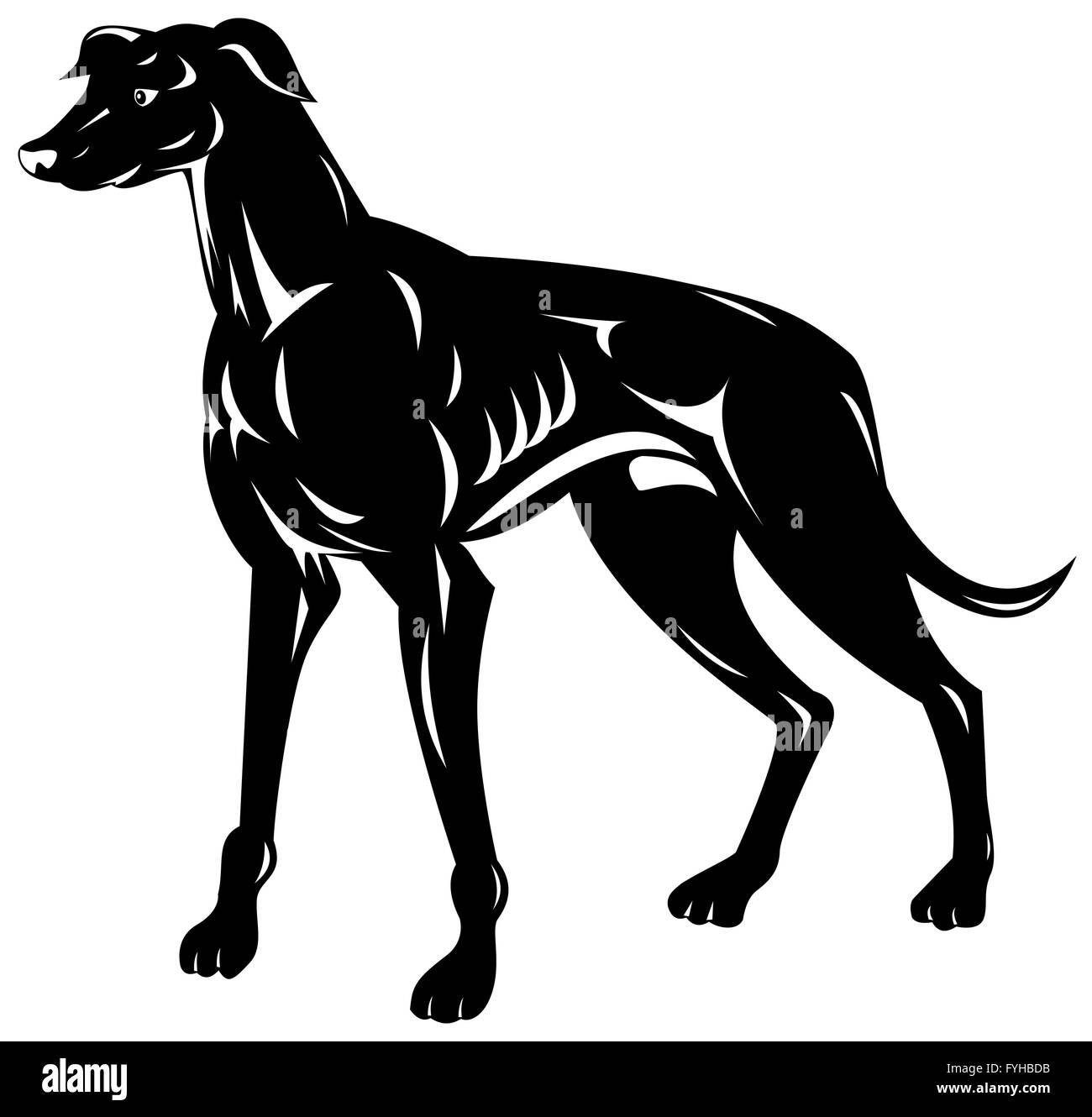 Greyhound Hund Retro Stockfoto