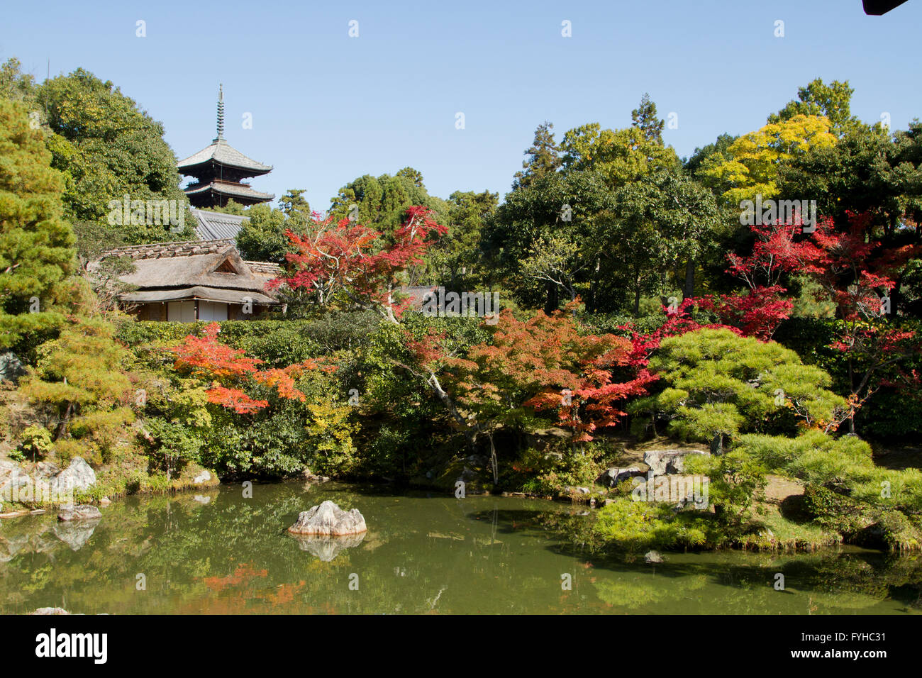 Japan, Kyoto, Ninna-Ji Shinden, japanischer Garten Stockfoto