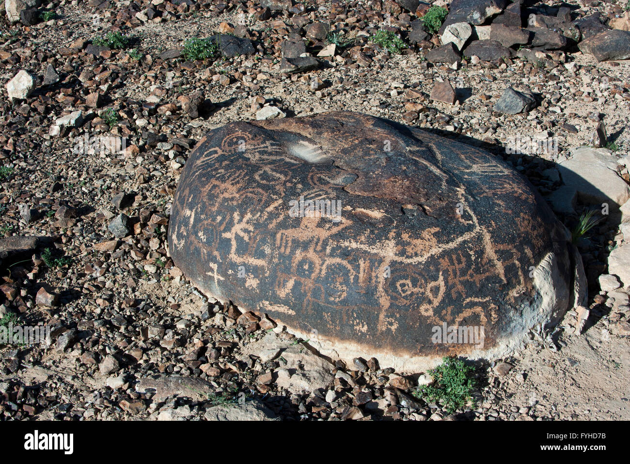 uralte Felsmalereien von Mount Carcom (Har Karkom Jabal Ideid auch genannt), von einigen Wissenschaftlern als der biblische Berg S identifiziert Stockfoto
