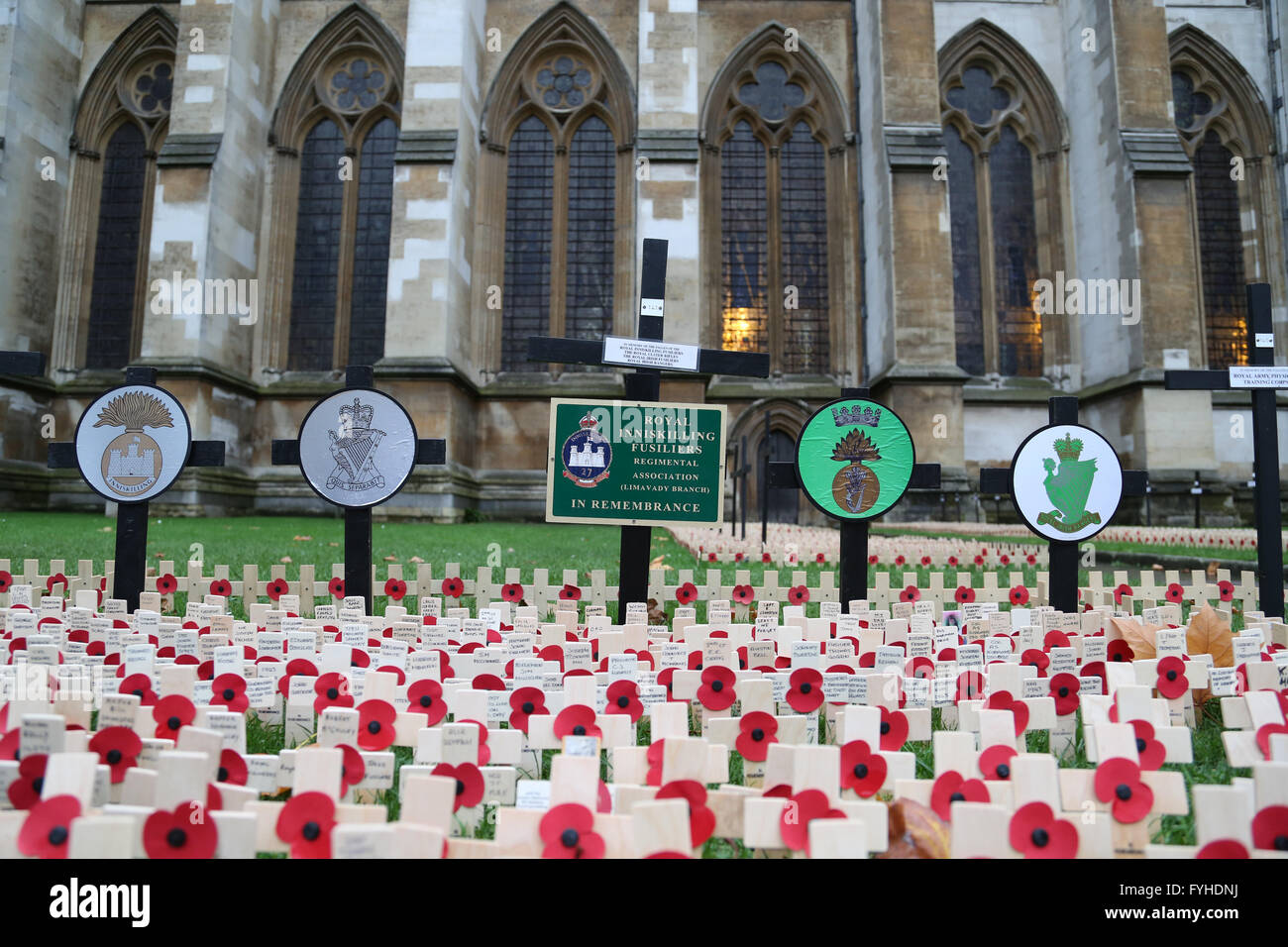 Poppy Day in der Westminster Abbey, wo Großbritannien feiert und trauert um seinen gefallenen Kriegshelden mit Tausenden von Poppys. Stockfoto