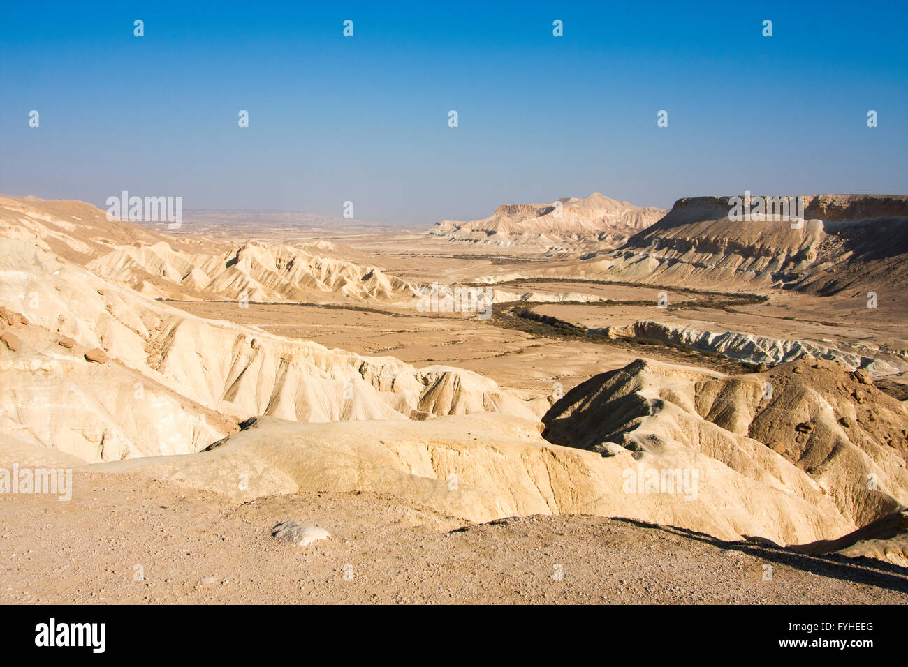 Zin Tal, Wüste Negev, israel Stockfoto
