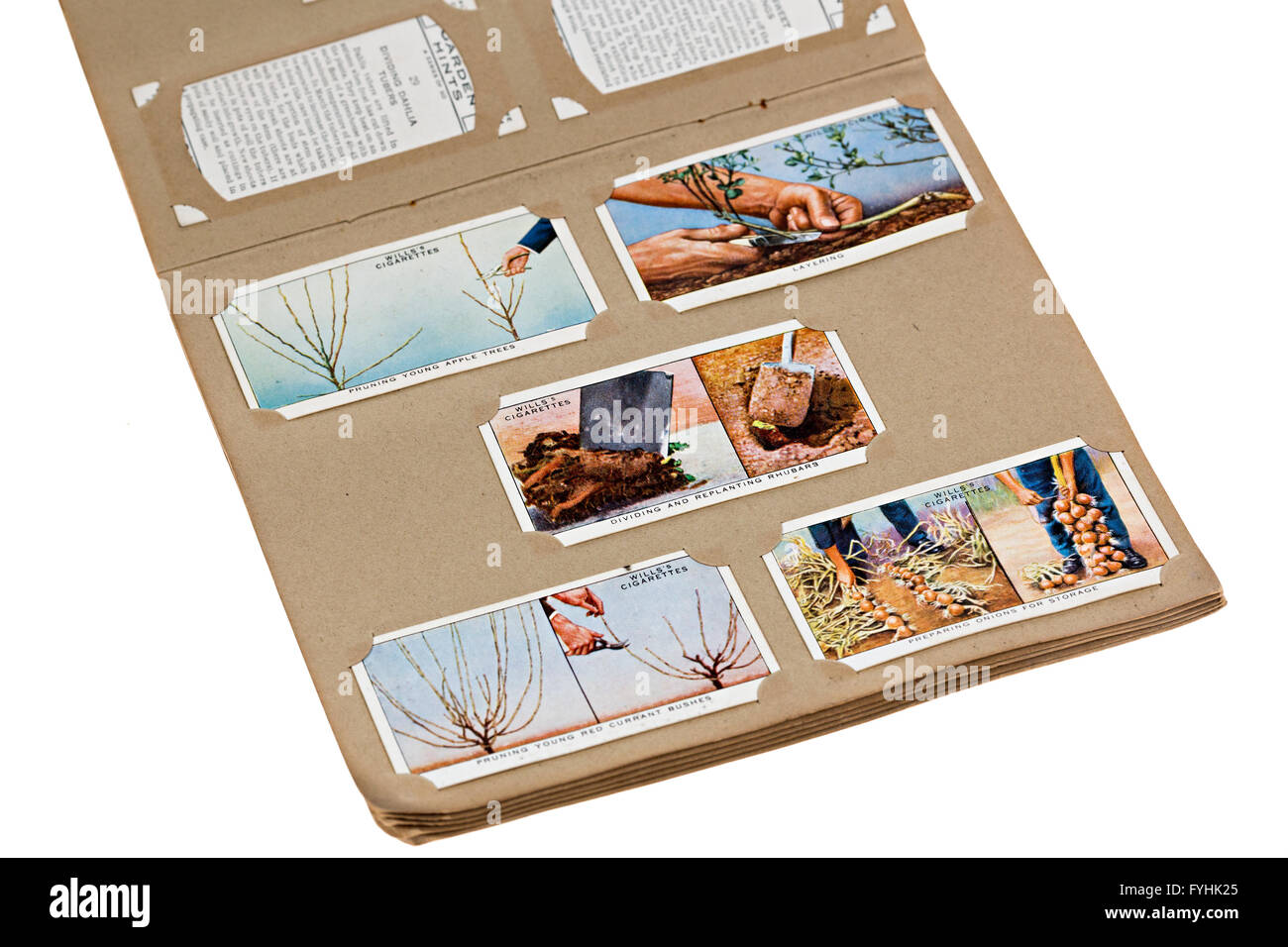 Wills Zigarette Card Buch Garten Tipps im Album der 1950er Jahre Stockfoto