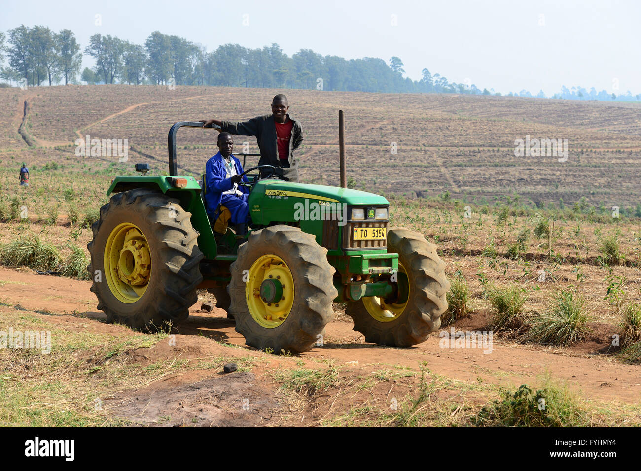 Malawi, Thyolo, Makandi Teeplantage, ein Fairtrade-Tee-Plantage, John Deere Traktor Stockfoto