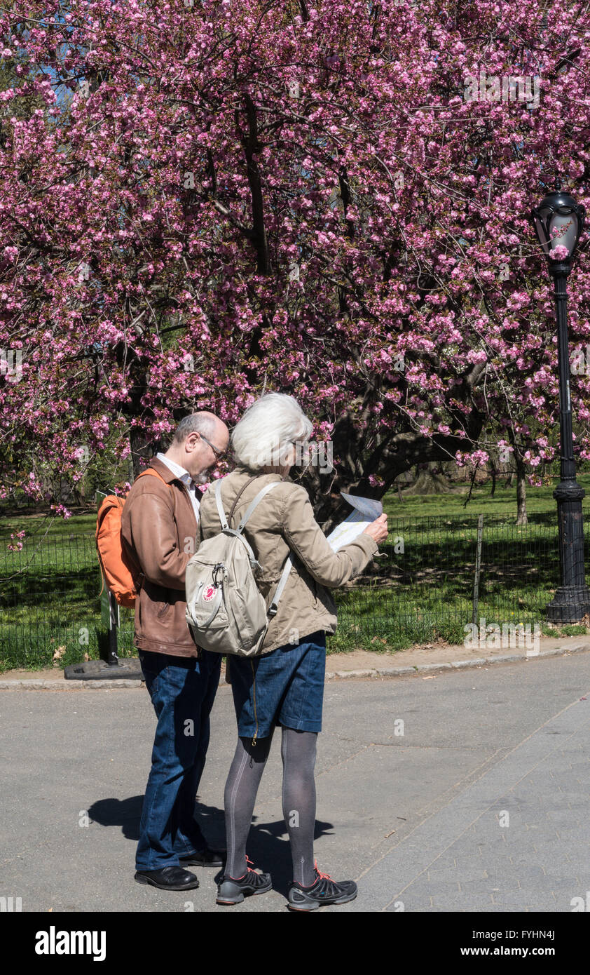 Frühling im Central Park, New York City, USA Stockfoto