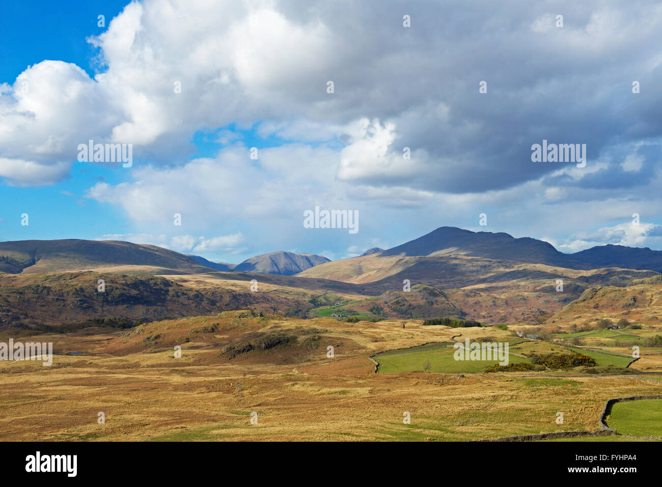 Birker fiel, Nationalpark Lake District, Cumbria, England UK Stockfoto