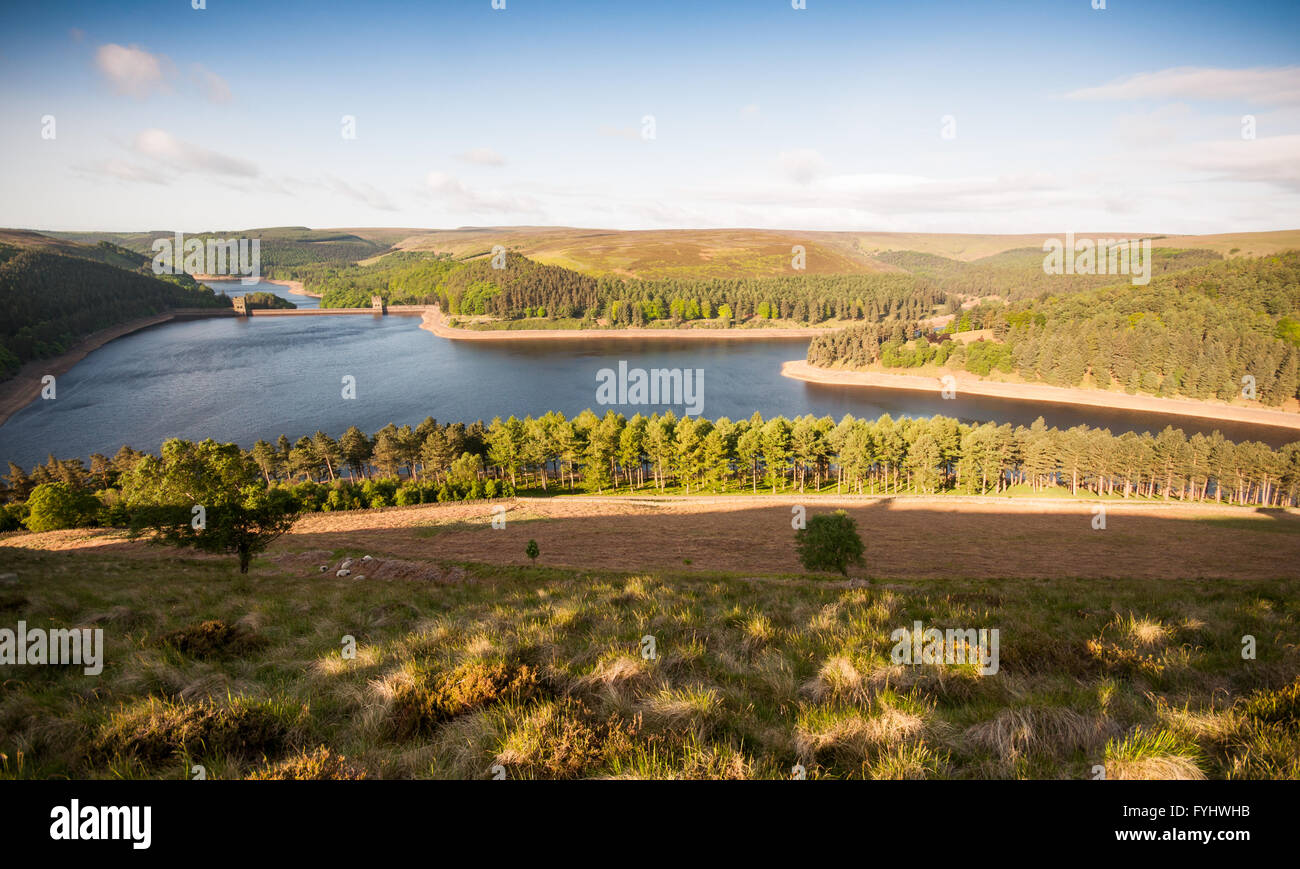 Erstes Licht auf Howden Reservoir in Derbyshire ist Upper Derwent Valley, Teil der Wasserversorgung für Sheffield bewaldet. Stockfoto