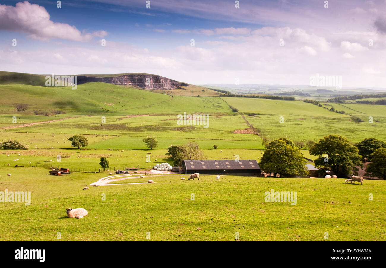 Die Narbe von der stillgelegten Steinbrüchen bei Eldon Hill im Bereich White Peak von Englands Peak District National Park. Stockfoto