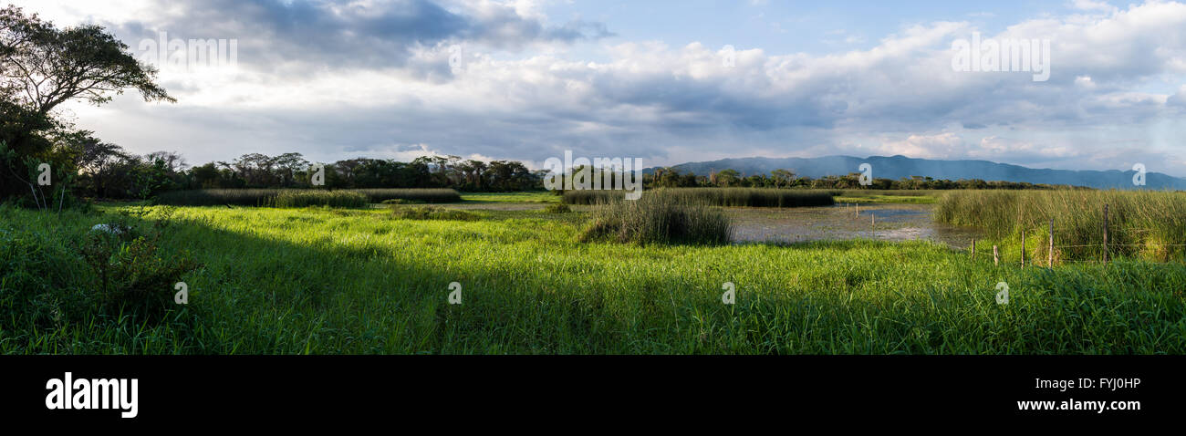 Panorama der Sümpfe im Süden der Insel Jamaika, Karibik. Stockfoto