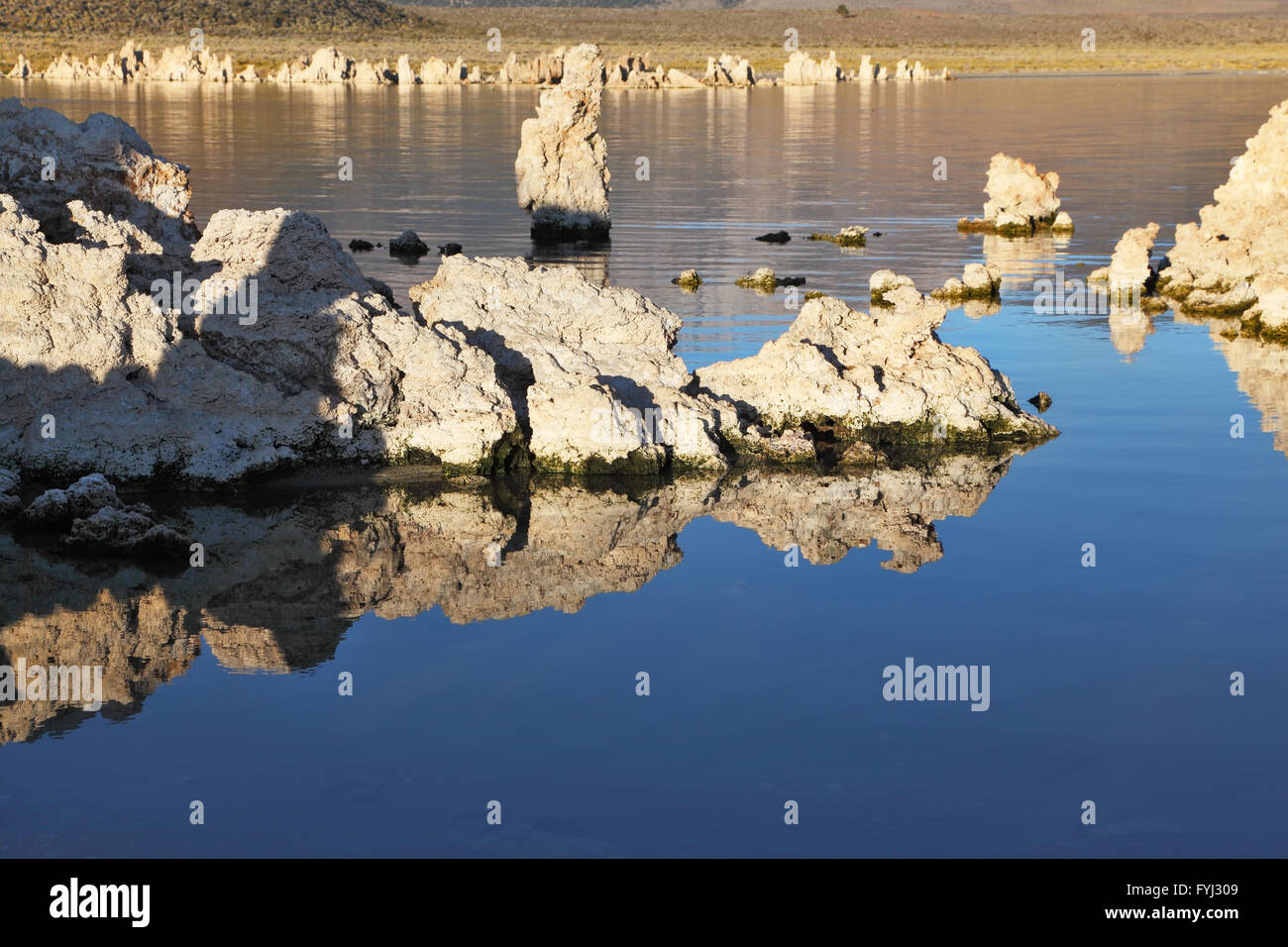 See-Stalagmiten aus dem Tuffstein spiegeln sich im Wasser Stockfoto