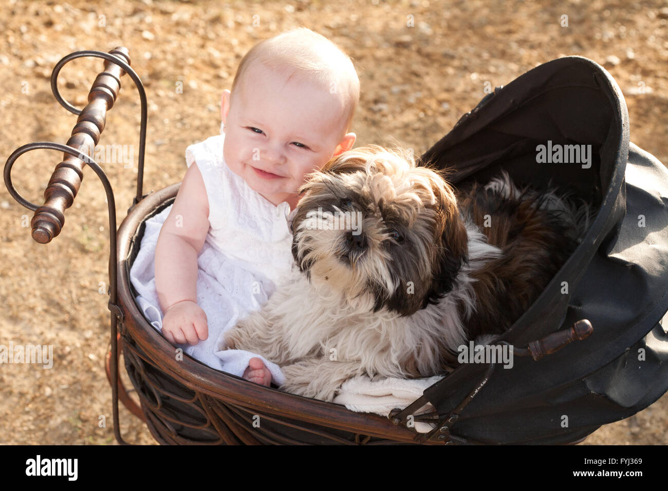 Baby und Welpe im Vintage Kinderwagen Stockfoto