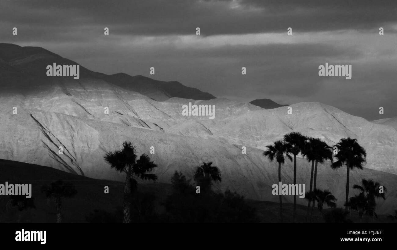 Black And White Desert Schönheit Licht Filterung durch Wolken zu betonen Berg Klippen Palm Bäume stehen im Vordergrund Stockfoto