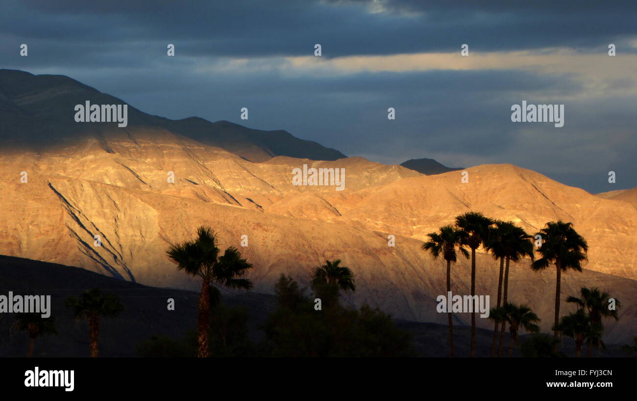 Wüste Schönheit Licht, das durch Wolken zu betonen Berg Klippen Palm Bäume stehen im Vordergrund Stockfoto