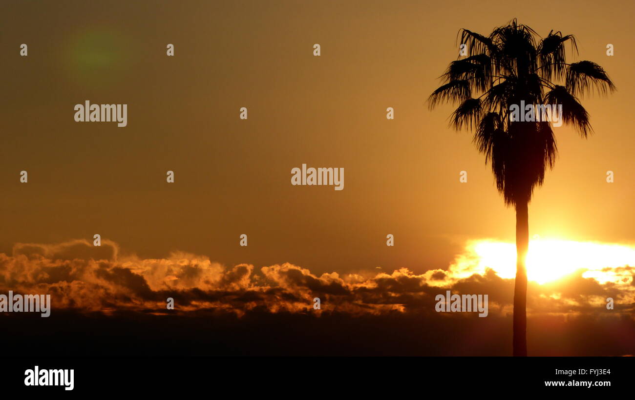 Palm-Sonnenaufgang mit niedrig liegenden Wolken über die badlands Stockfoto