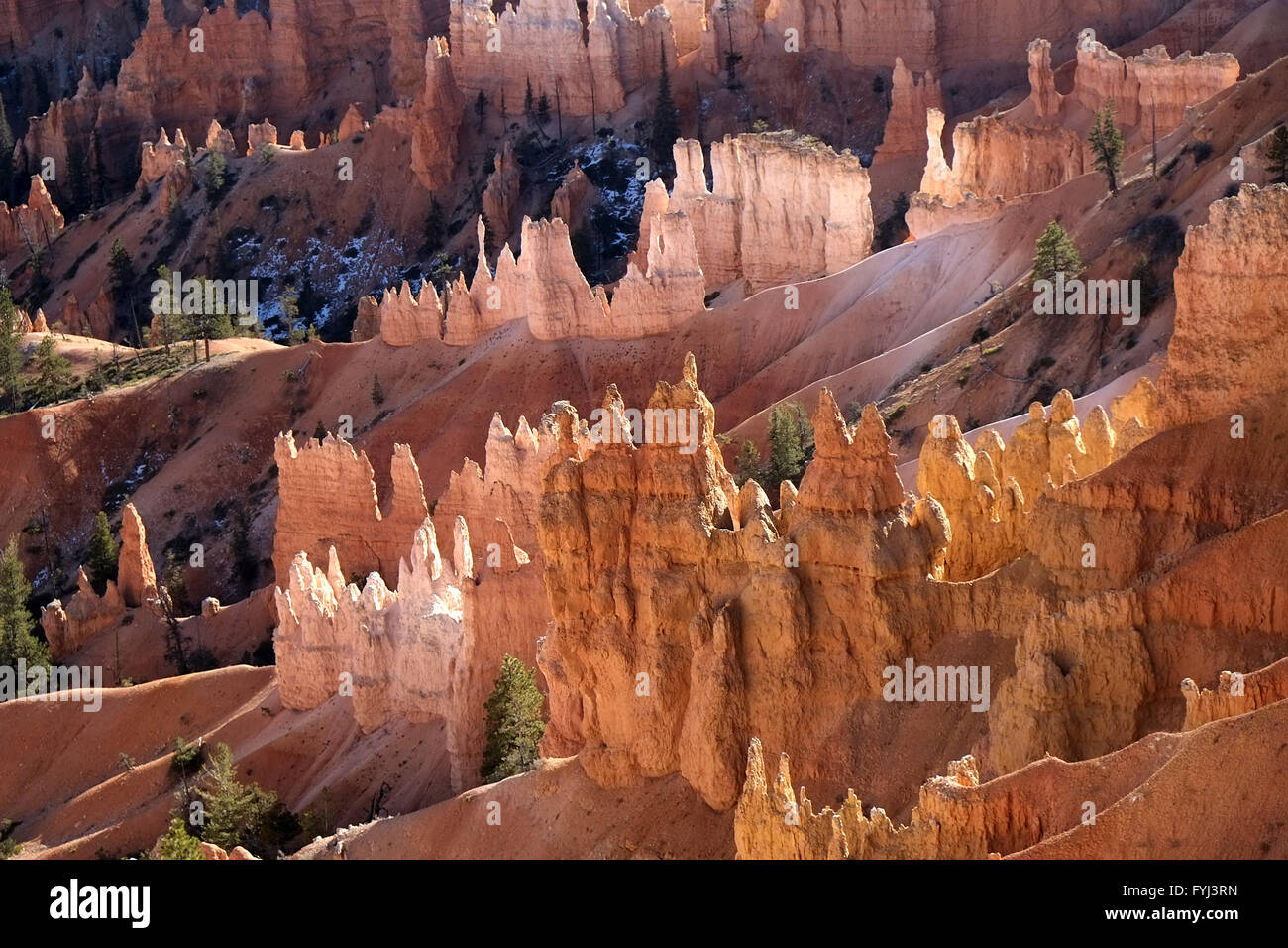 Bryce Canyon Nationalpark Stockfoto