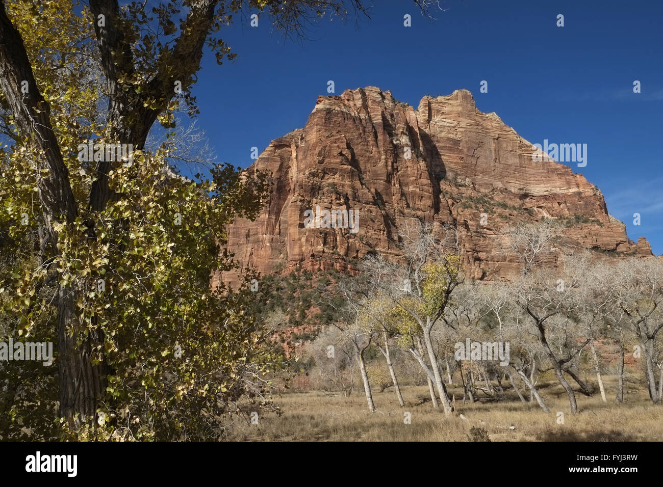 Zion Nationalpark Stockfoto