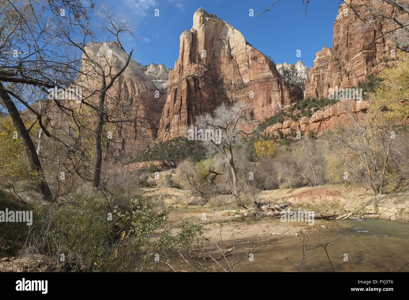 Zion Nationalpark Stockfoto