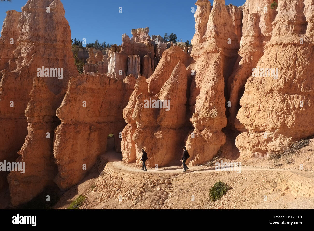 Bryce Canyon Nationalpark Stockfoto