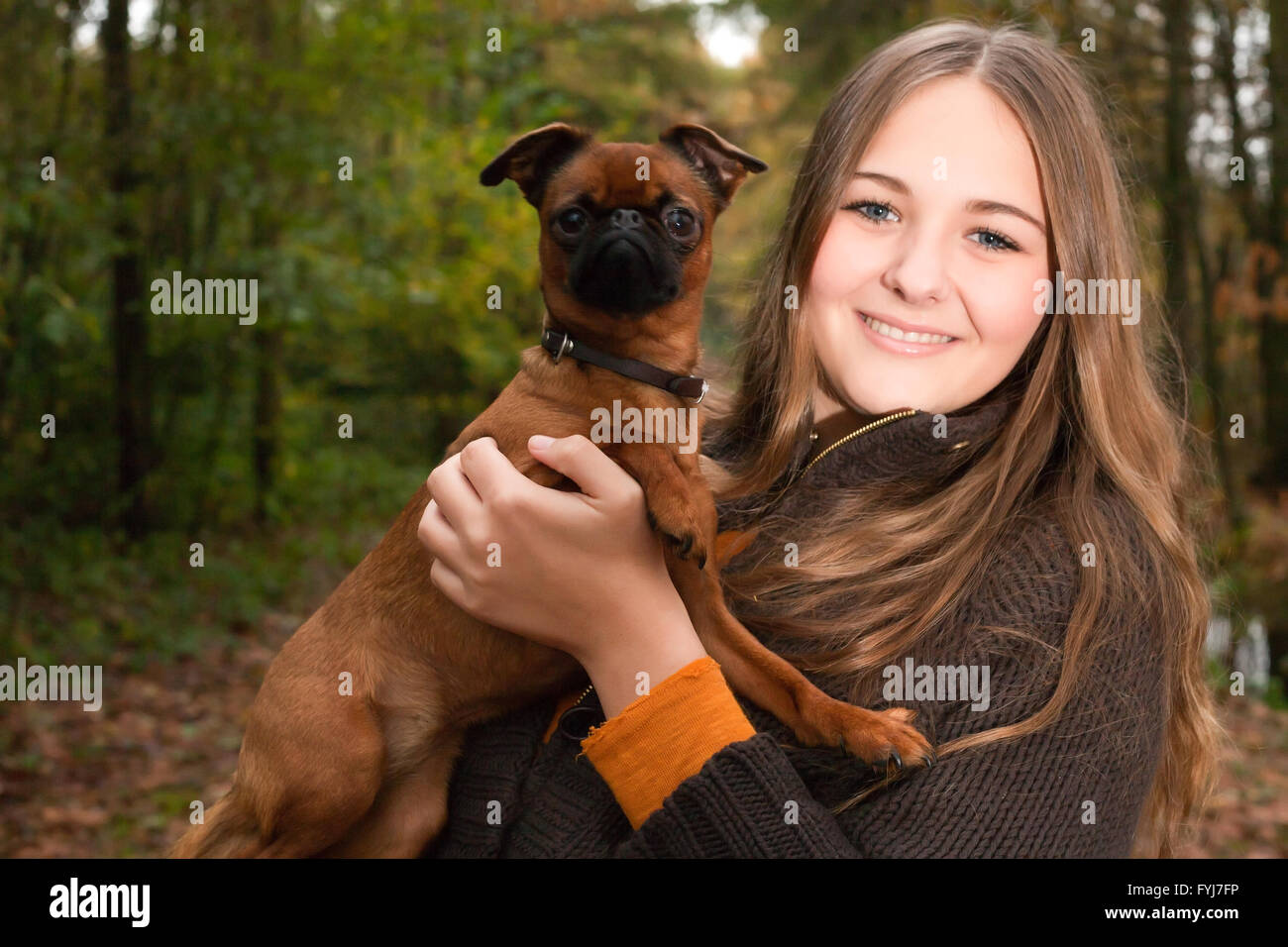 Stolzer Hund Stockfoto