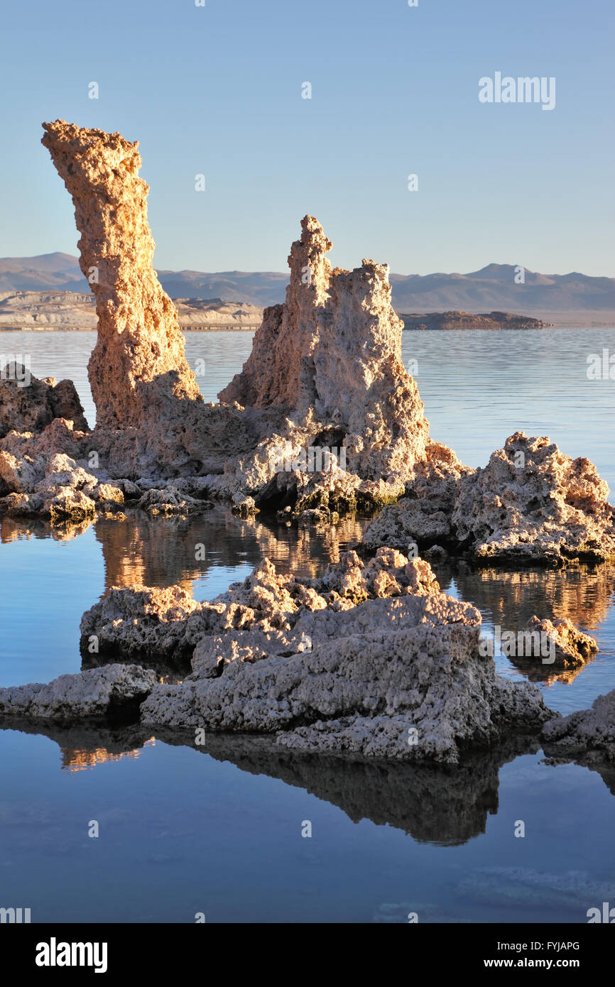 Lake Tufa Stalagmiten spiegelt sich in dem glatten Wasser Stockfoto