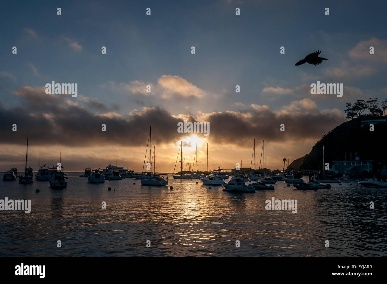 "Luftlinie", Tag Pause auf Catalina Island Hafen in Avalon, Kalifornien; Sonnenaufgang über dem Catalina Island Marina Segelboote Stockfoto