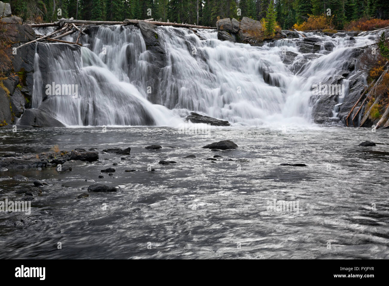 WY01561-00... WYOMING - Lewis fällt auf den Lewis River im Yellowstone National Park. Stockfoto