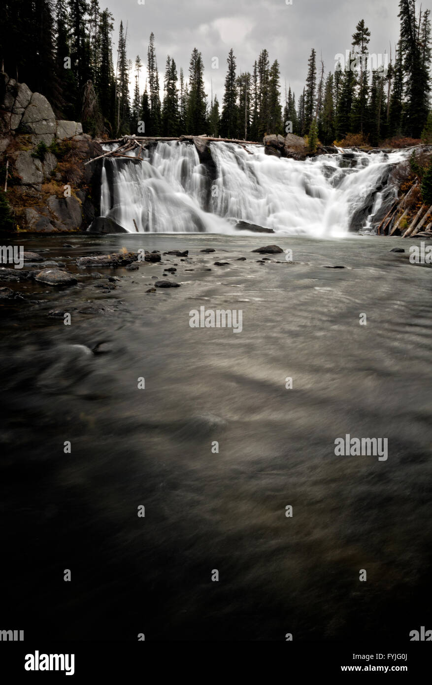 WY01563-00... WYOMING - Lewis fällt auf den Lewis River im Yellowstone National Park. Stockfoto