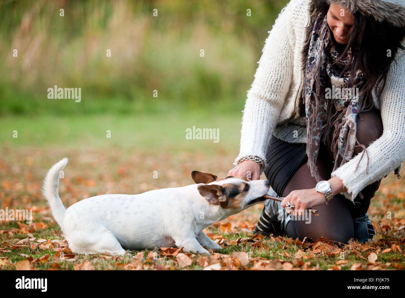 Der Stick ist mir Stockfoto