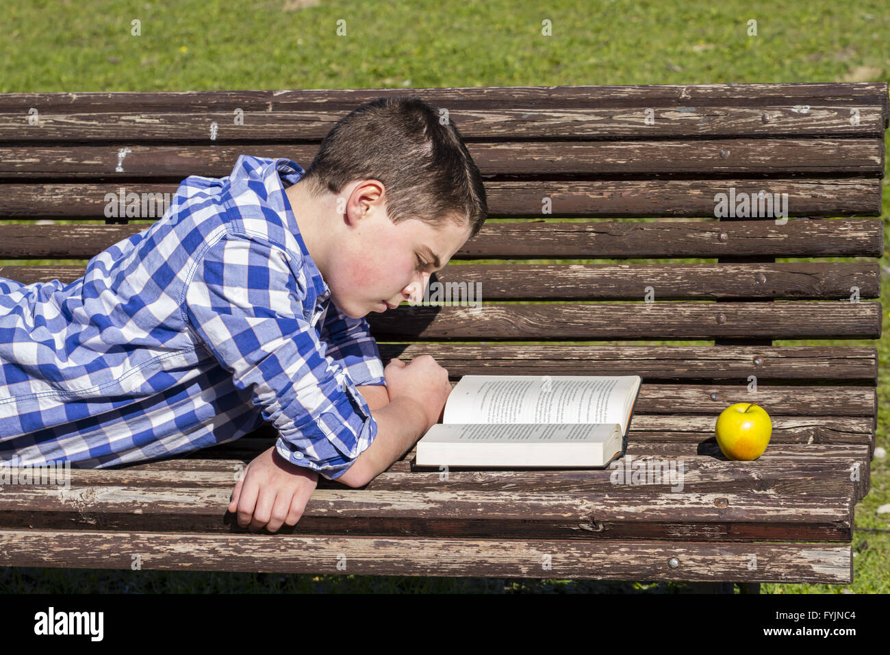 Read.Young Junge liest ein Buch auf der Parkbank im Sommer Stockfoto