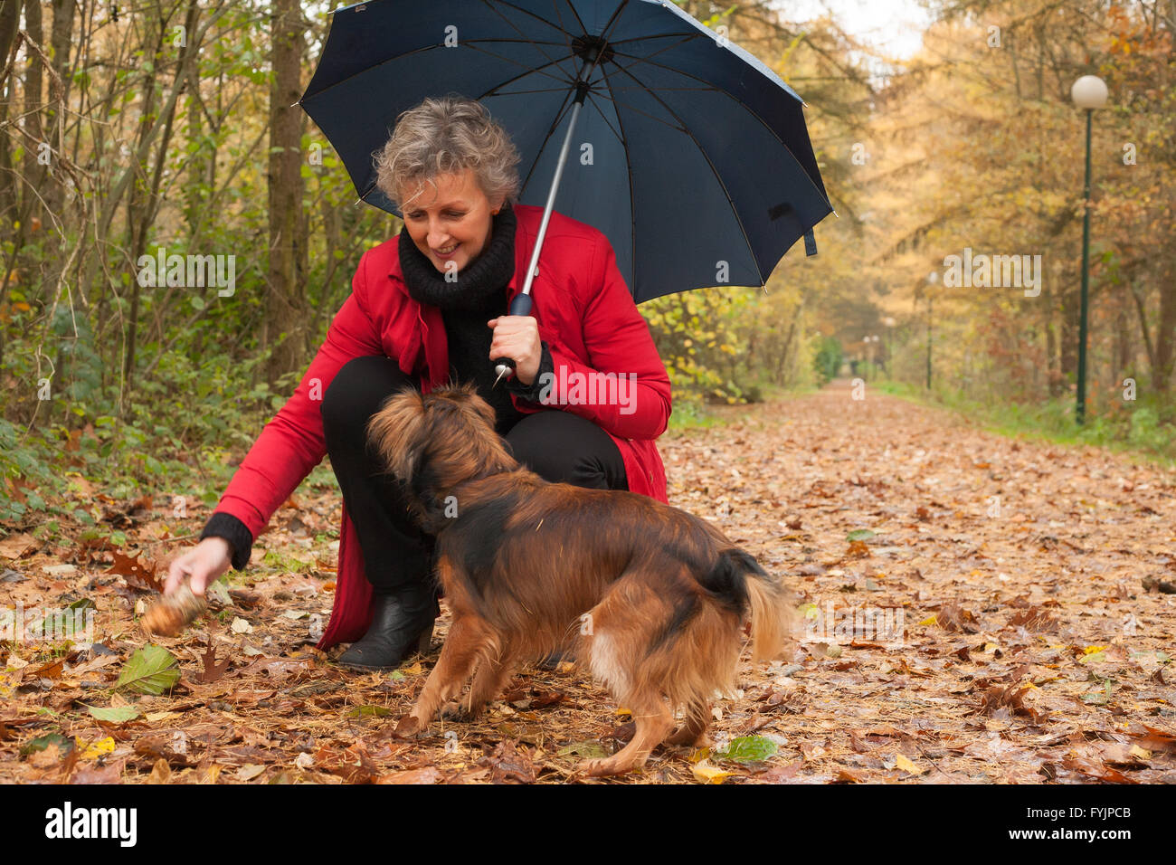 Midlle im Alter von Frau spielt mit ihrem Hund Stockfoto