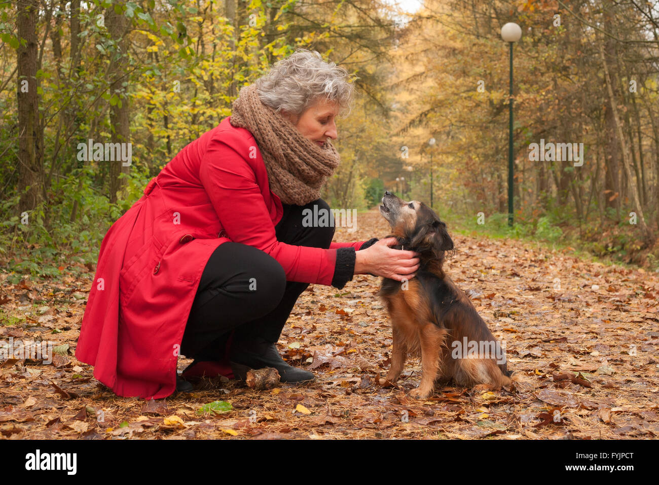 Ager Frau und ihre netten Hund im Wald Stockfoto