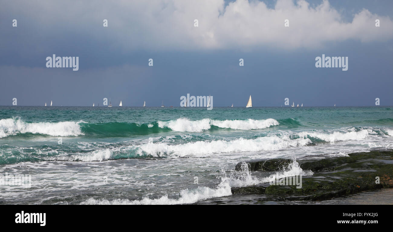 Schönen weißen Segel der Yachten am Horizont Stockfoto