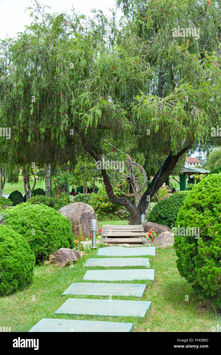 weitverzweigt Baum mit Wagenrad im park Stockfoto