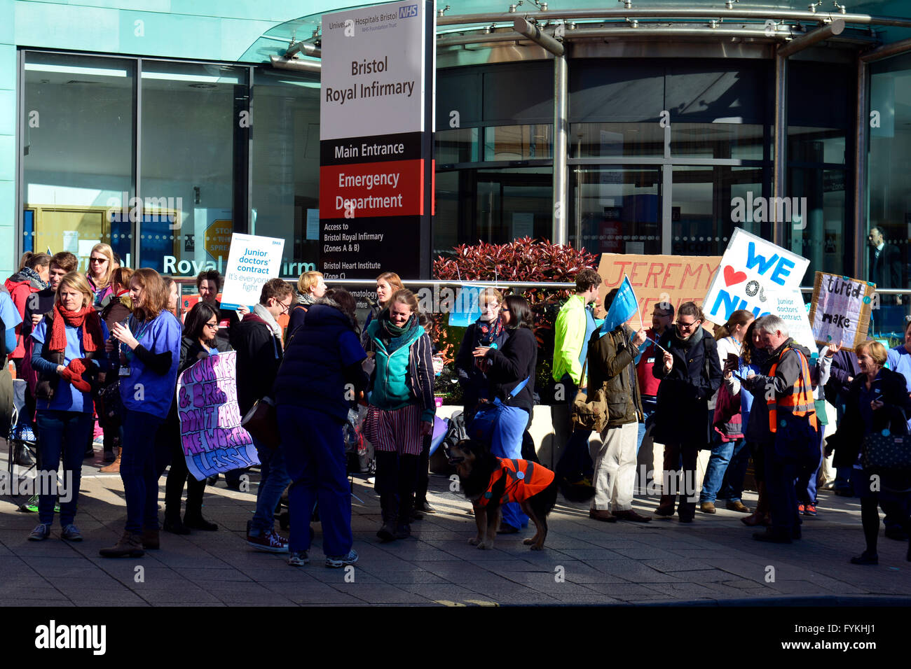 Bristol, UK. 27. April 2016. Tag2. Teppich des Hundes aus Fischteichen, unterstützt den Streik der Ärzte in der Ausbildung in Bristol drausen der Bristol Royal Infirmary. ROBERT TIMONEY/AlamyLiveNews Stockfoto