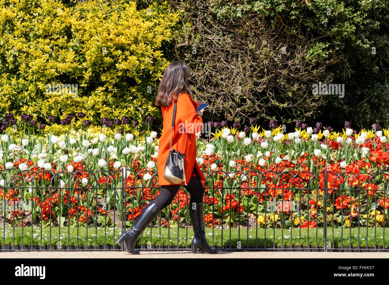 Das Wetter im Frühling im St James Park, London England Vereinigtes Königreich UK Stockfoto