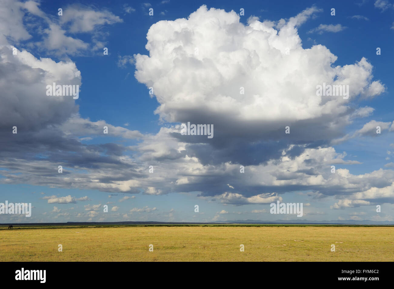 Dramatische Wolken und die große Wiese von savannah Stockfoto