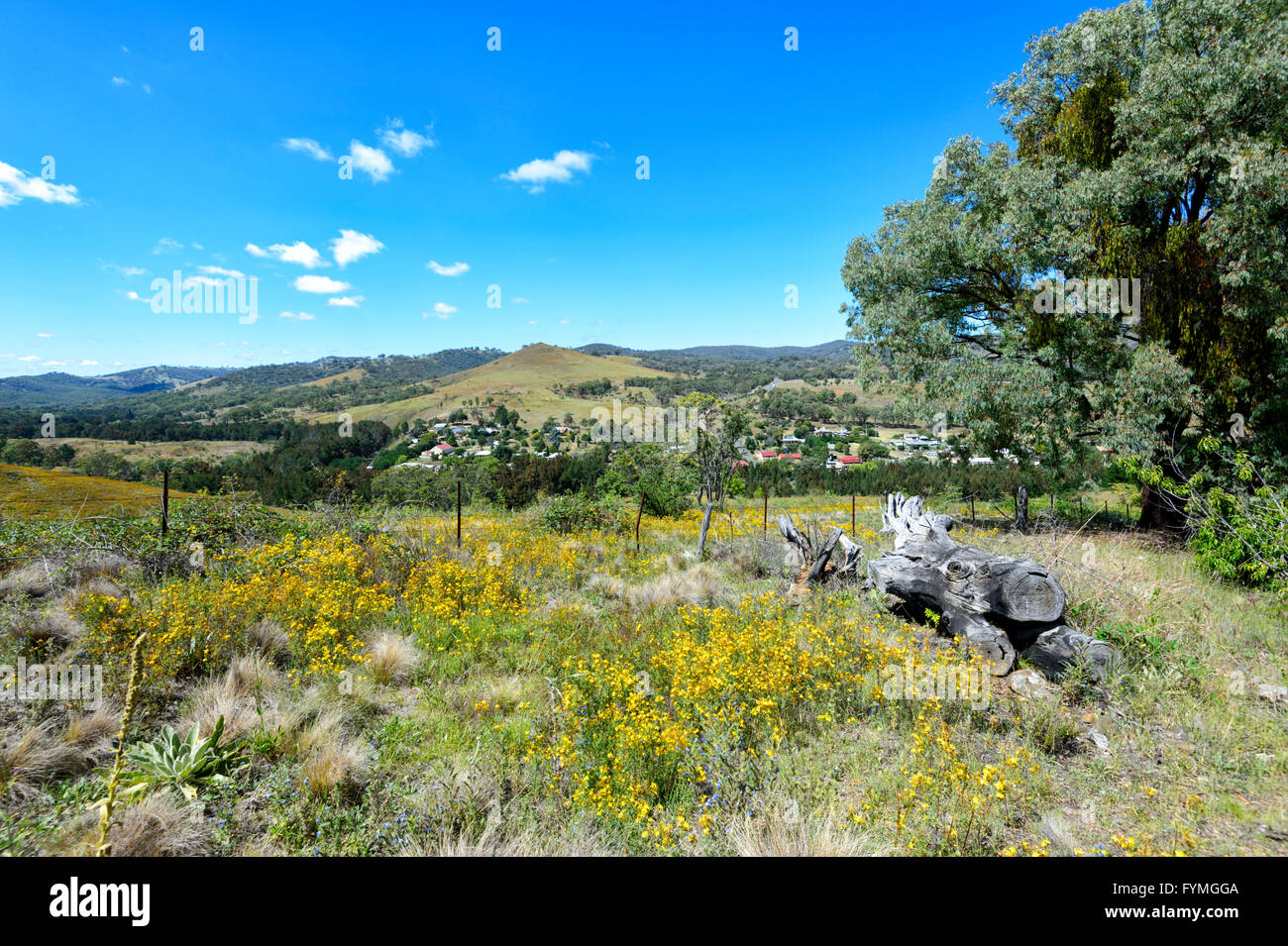 Eine hügelige Landschaft in der Nähe von Sofala, New-South.Wales, Australien Stockfoto