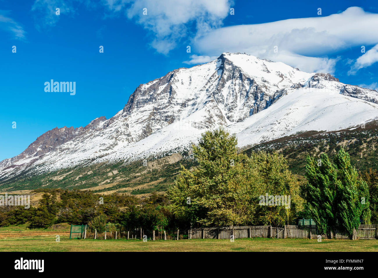 Torres del Paine Nationalpark, chilenischen Patagonien, Chile Stockfoto