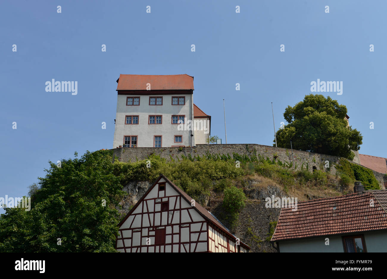 Schloss, Homburg am Main, Bayern, Deutschland Stockfoto