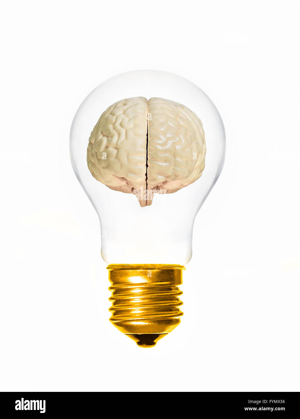 Konzept des Gehirns innerhalb einer Glühbirne Stockfoto
