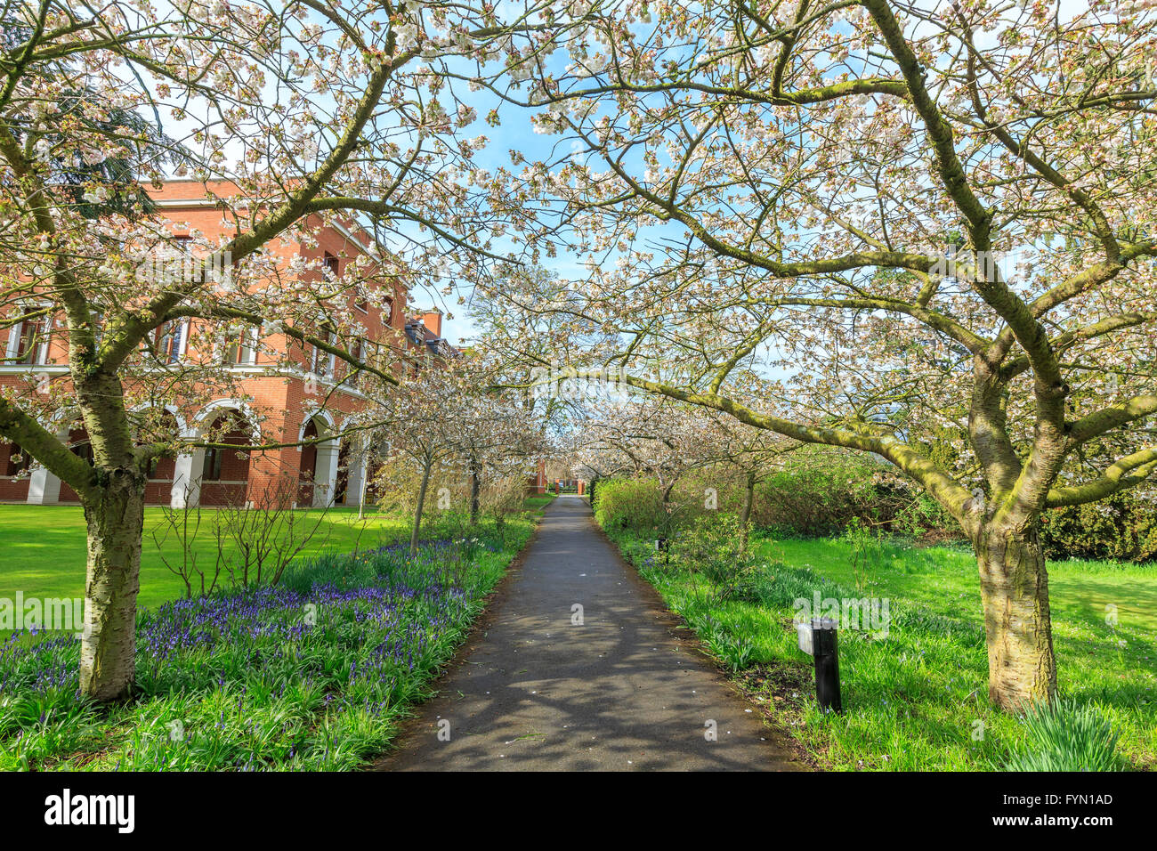 Schöne Orte rund um den berühmten Selwyn College an der University of Cambridge, Großbritannien Stockfoto