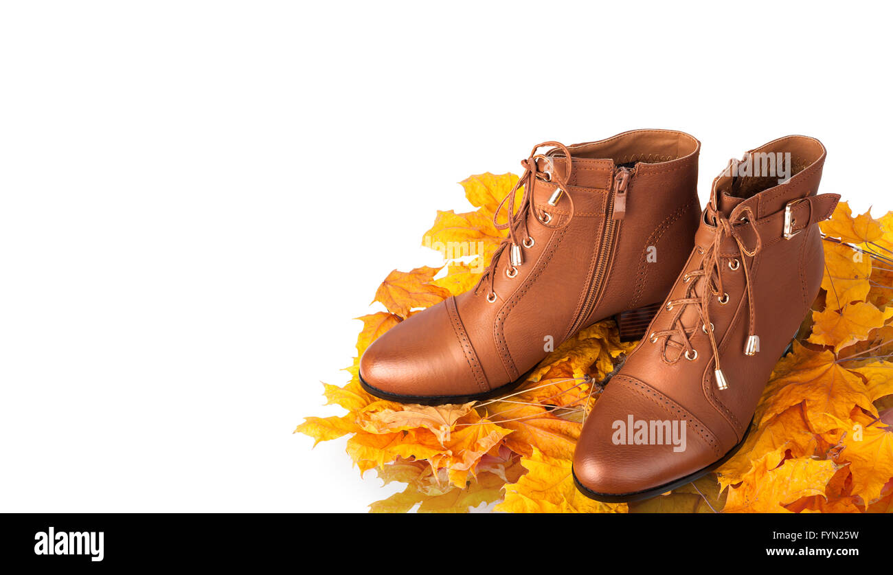 Braune weibliche Stiefel auf dem Hintergrund des goldenen Blätter im Herbst Stockfoto