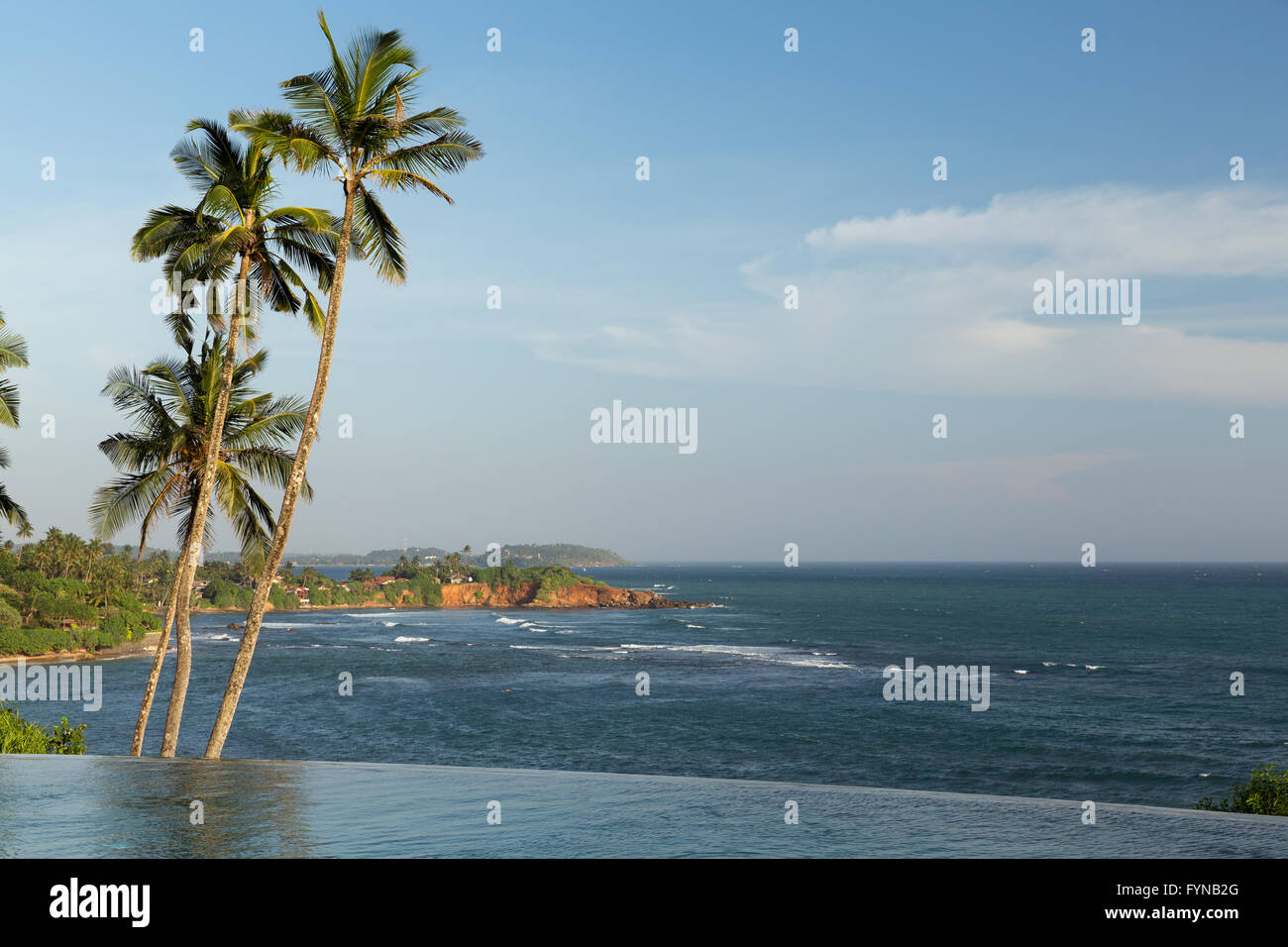 Blick vom Infinity Edge-Pool, Meer und Palmen Stockfoto