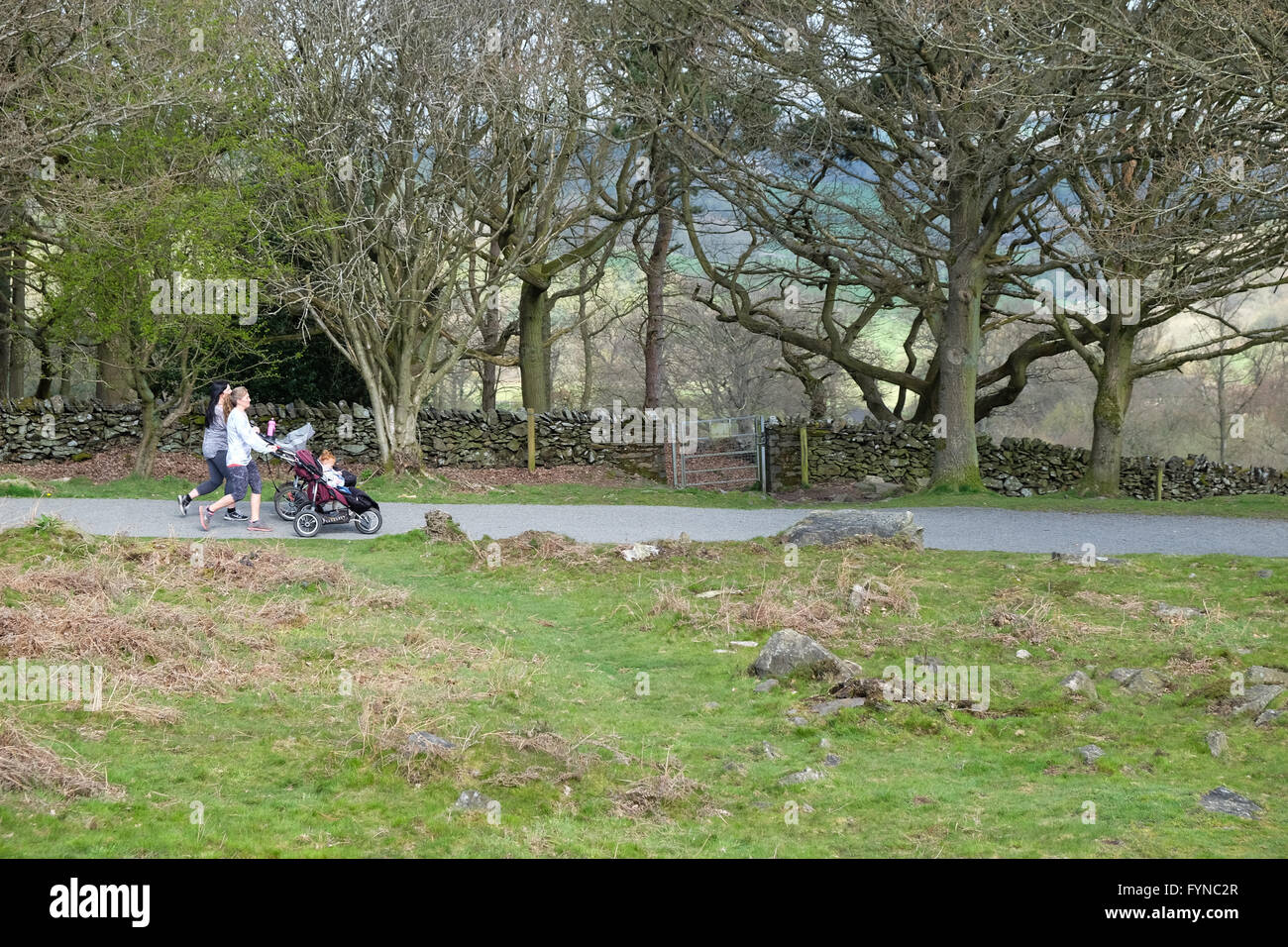 Frauen gehen und schieben Kinderwagen am Beacon Hill leicestershire Stockfoto