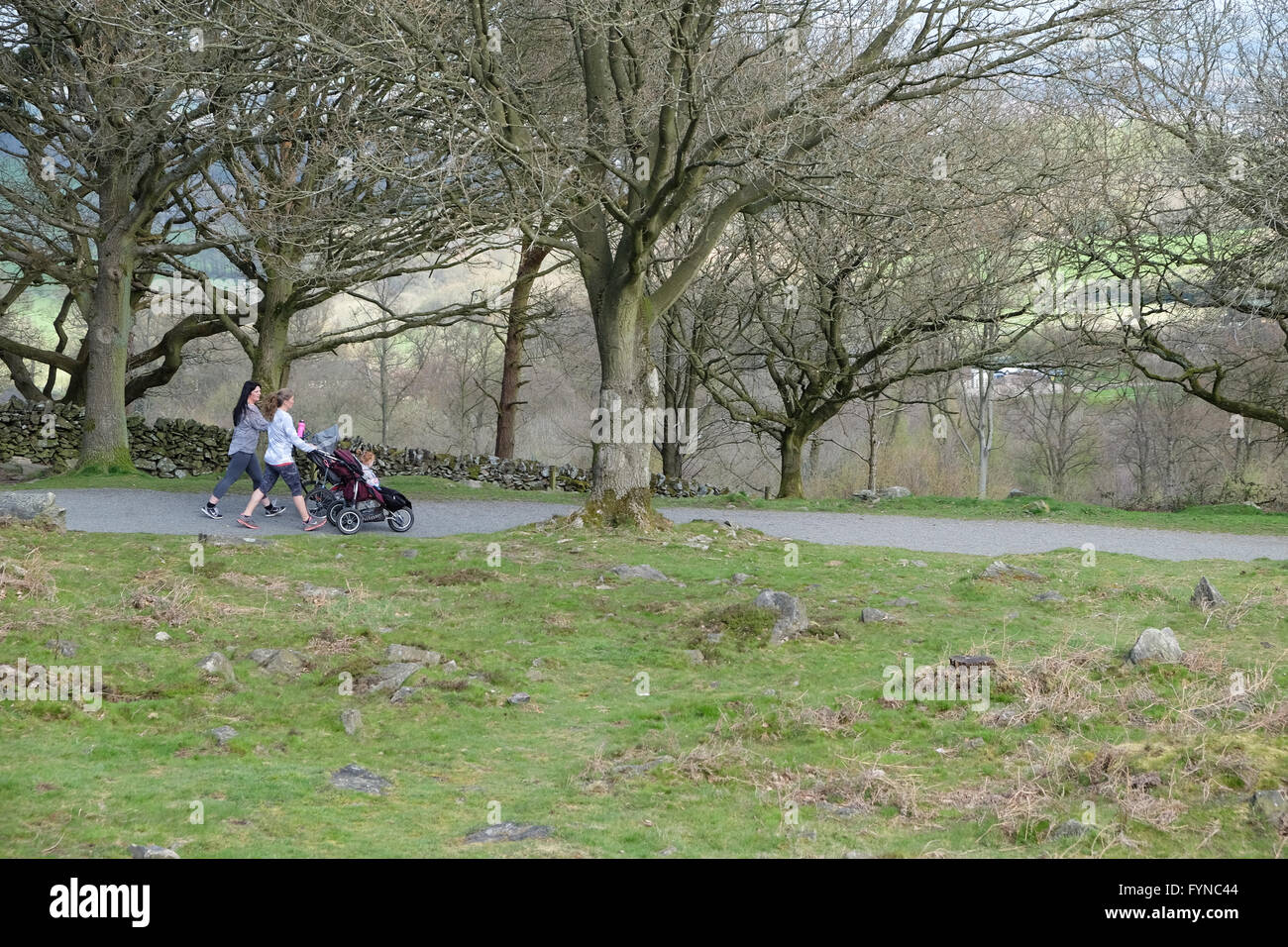 Frauen gehen und schieben Kinderwagen am Beacon Hill leicestershire Stockfoto