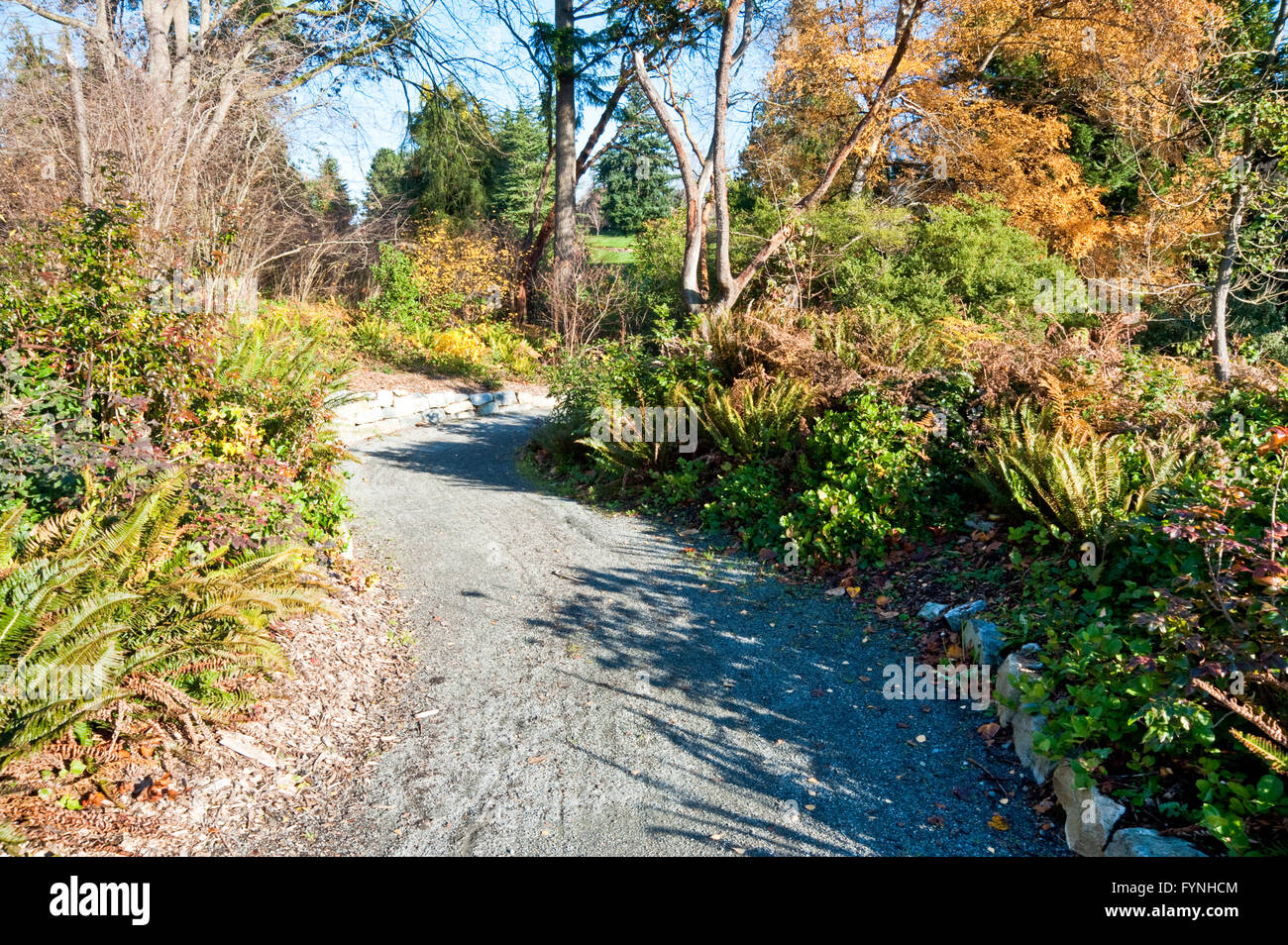 Pfad im Washington Park Arboretum Stockfoto