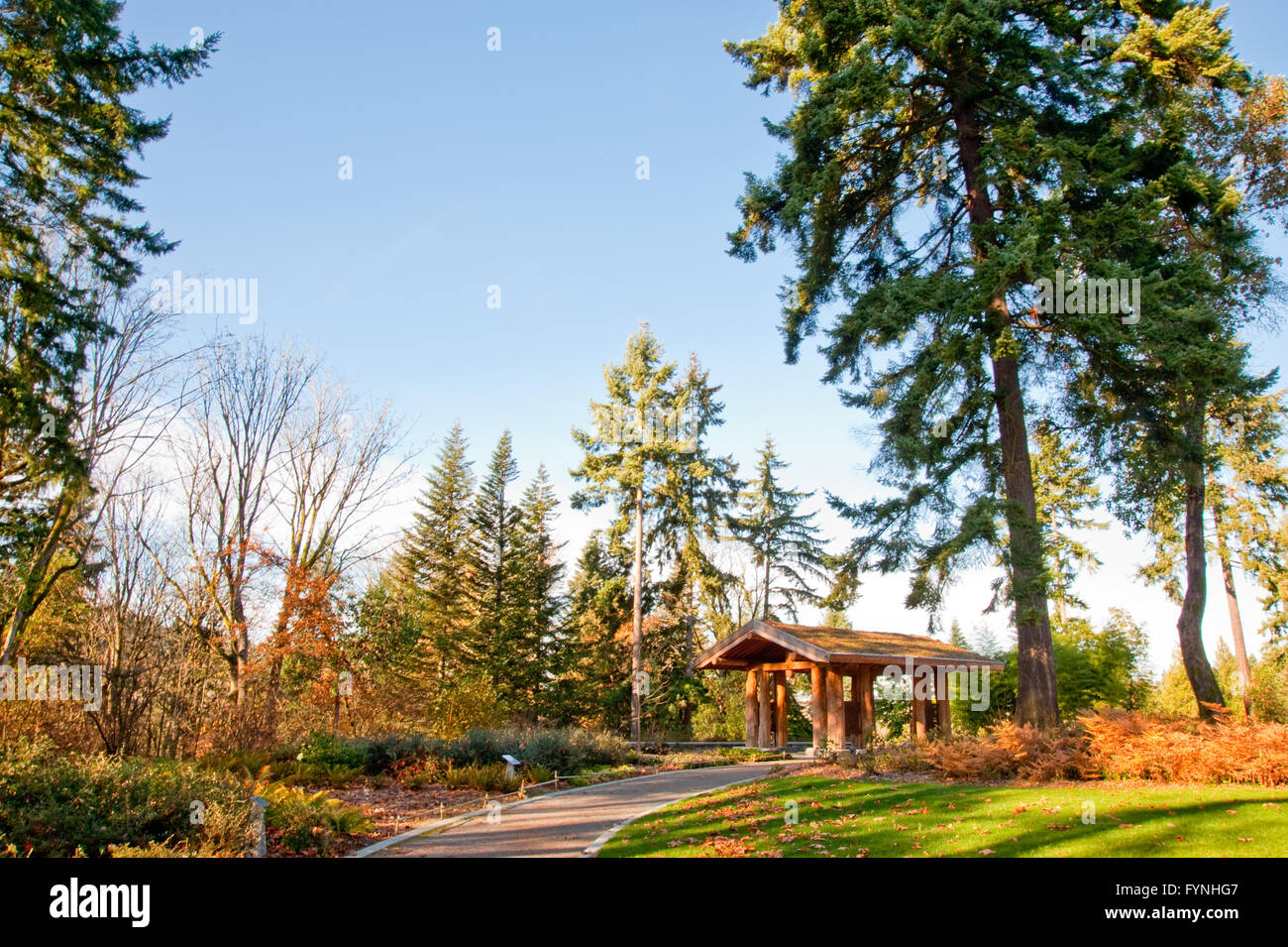 Washington Park Arboretum in Seattle Stockfoto