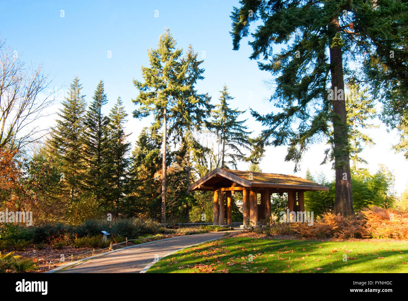 Washington Park Arboretum in Seattle Stockfoto