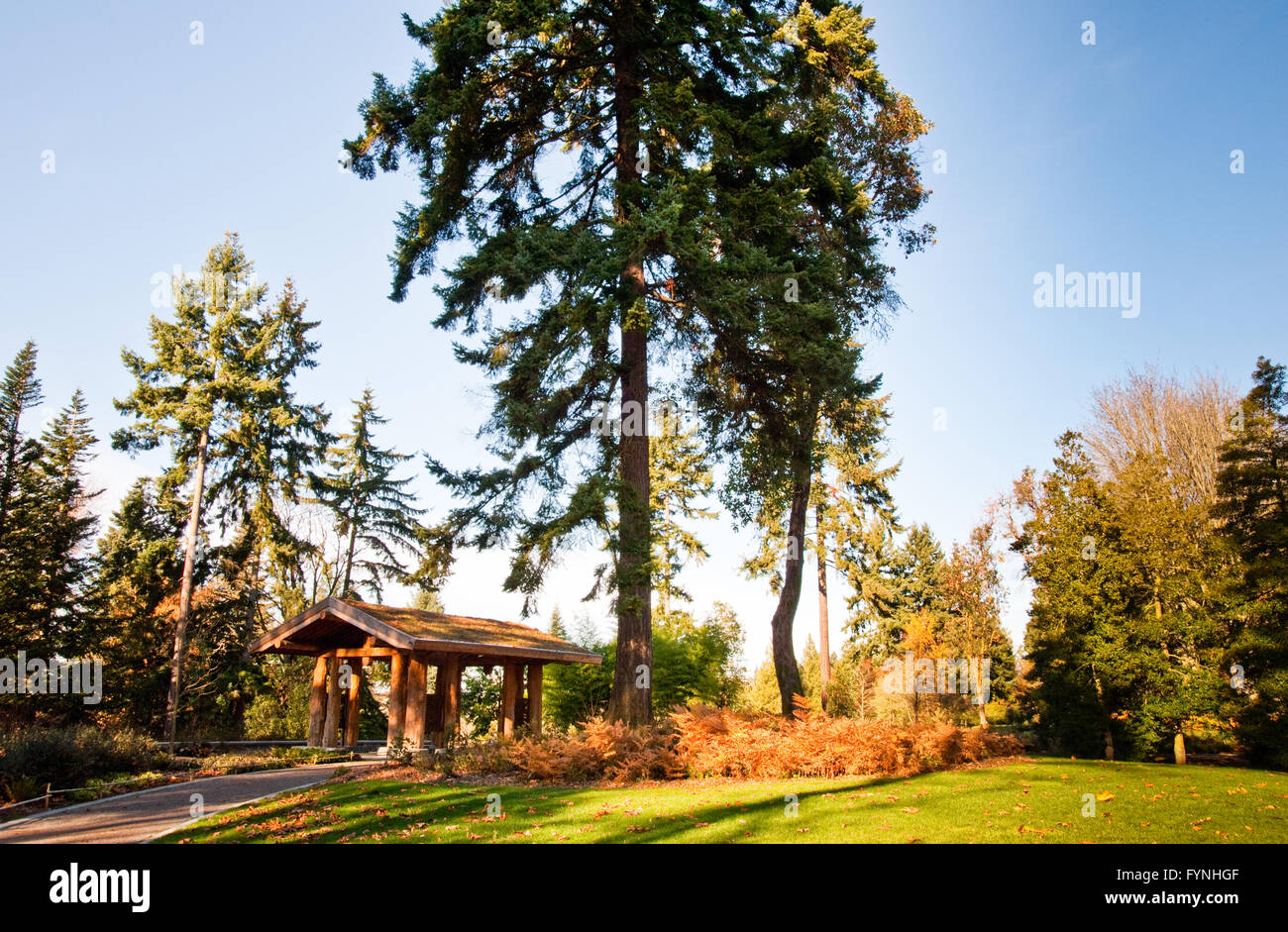 Washington Park Arboretum in Seattle Stockfoto