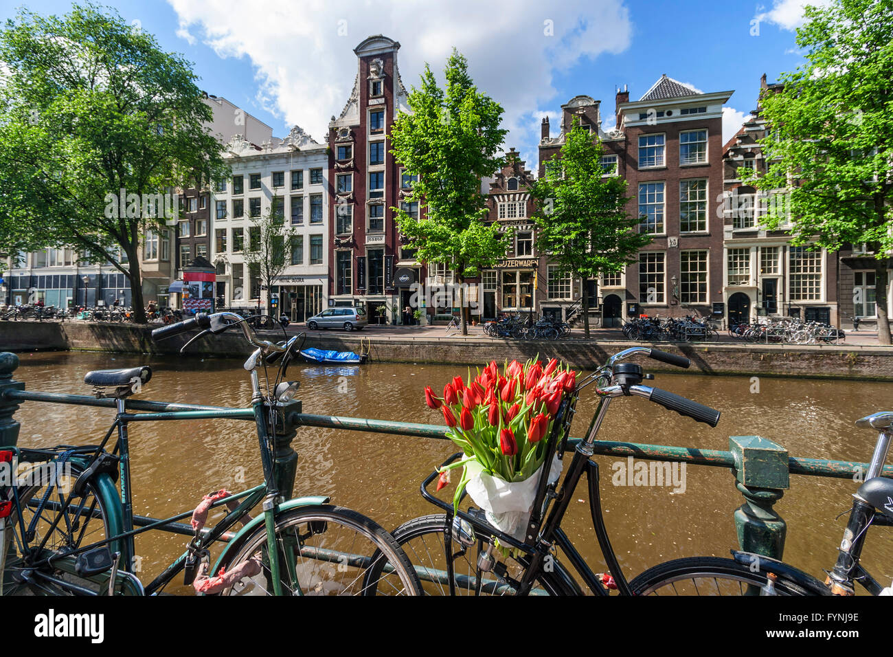 Einzelne Gracht Amsterdam Fahrrad mit Tulpen, Amsterdam, Niederlande Stockfoto